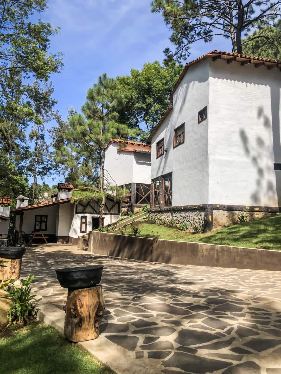 Cabaña Olivo Bosque Real